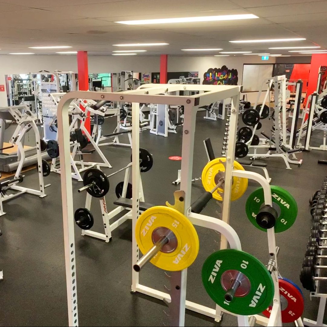 Indoor gym with lots of equipment